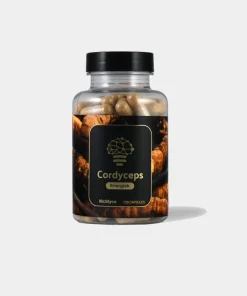 Buy Cordyceps Extract – 120 Capsules Online