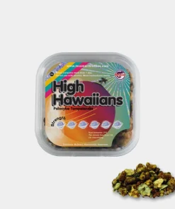 High Hawaiians Magic Truffles – 25 grams